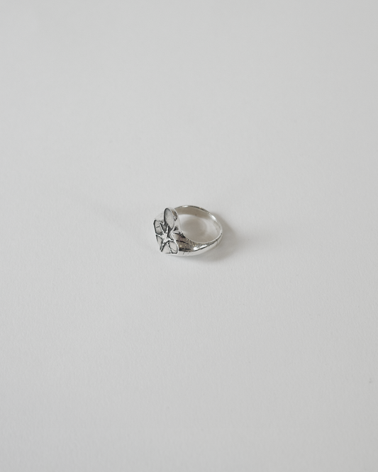 Corrosive Ring (925 Solid Silver)