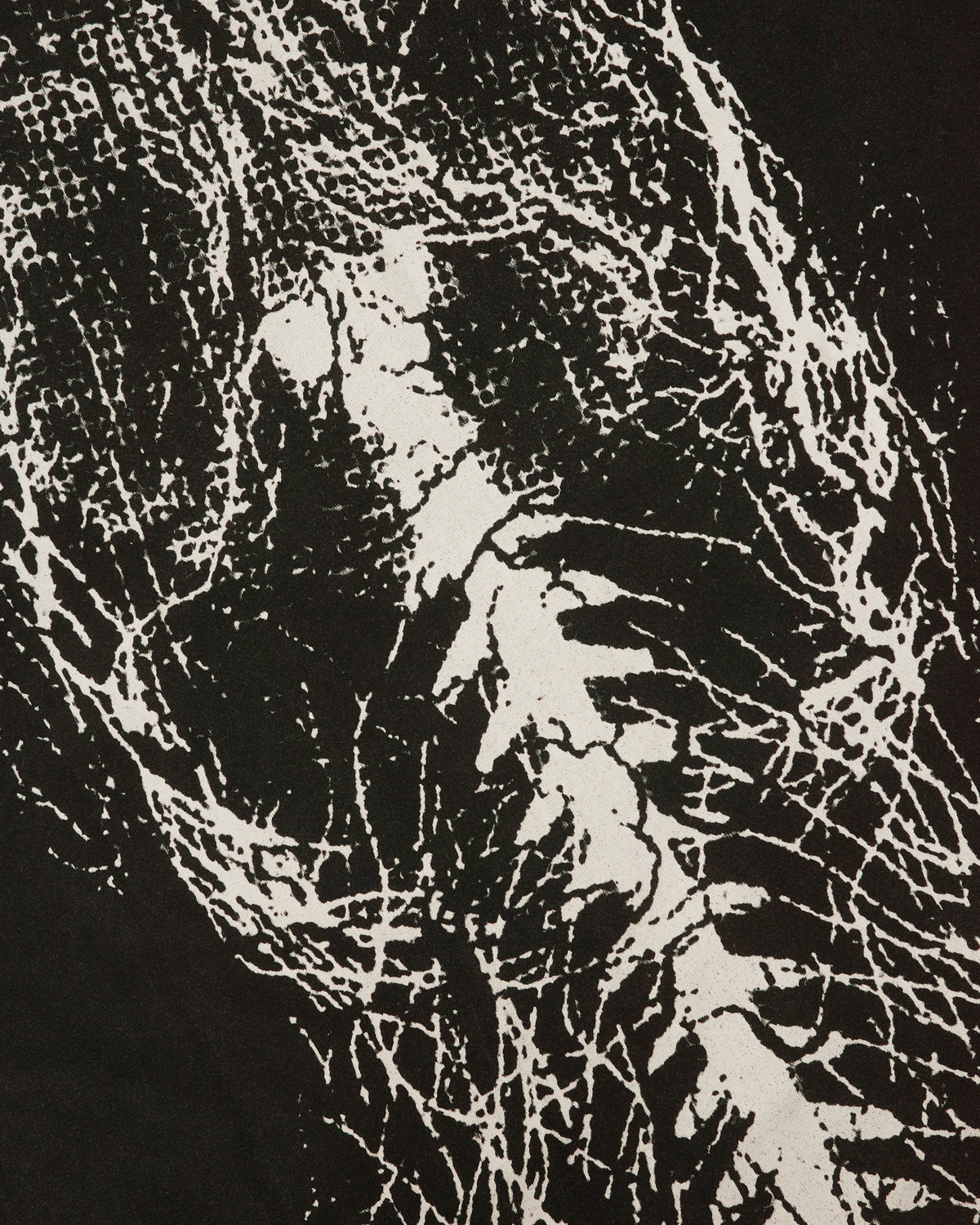 What Comes Next LS T