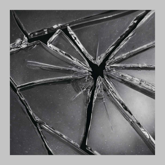 Fragment / 1 [ONEF067]
